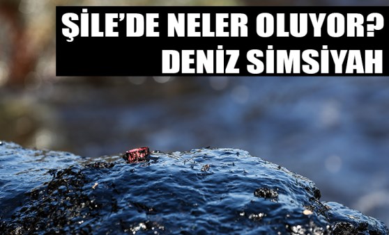 Şile'de neler oluyor? Deniz simsiyah