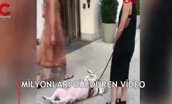 Böyle inat görülmedi... Milyonlarca kişiyi güldürdü