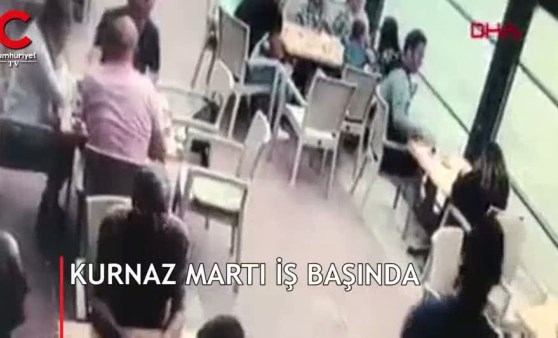 Kurnaz martının zekası şaşkınlık yarattı