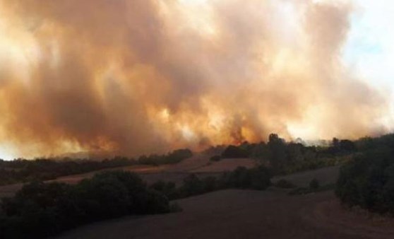 Bursa'da orman yangını (09.08.2019)