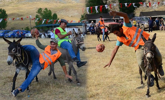 Yörük futbolu... Eşeklerden yere kapaklandılar