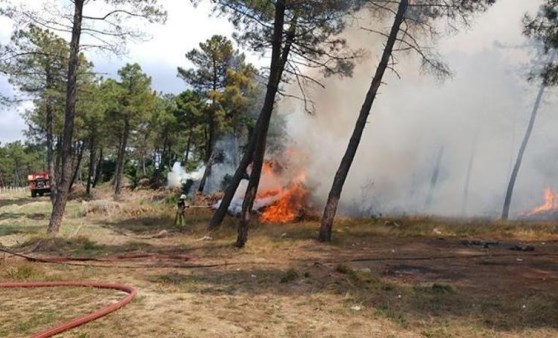 Arnavutköy'de ormanlık alanda yangın