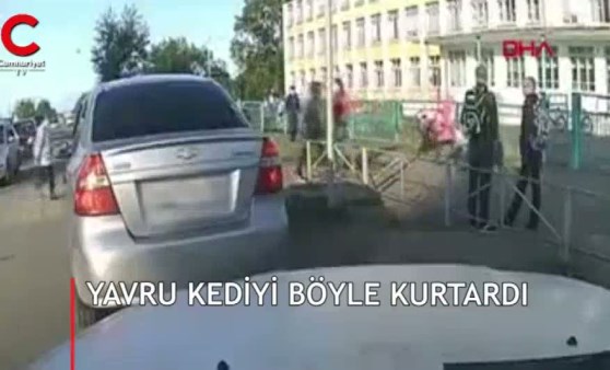 Yavru kediyi ezilmekten böyle kurtardı