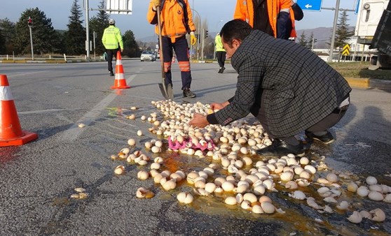 Kolilerce yumurta yola döküldü