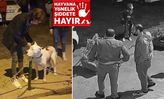 Beyoğlu'nda korkunç olay! Mahalleli ayağa kalktı