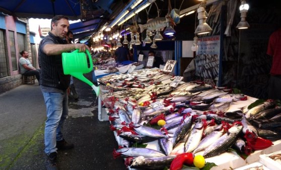 Tanesi 1 kiloya ulaştı: Karadeniz'de palamut bolluğu