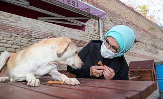 Engelli köpek sahiplenen Erdoğan: Yasanın bir an önce çıkmasını temenni ediyorum