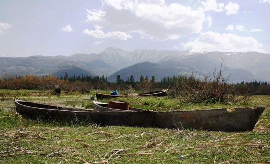 60 yılda 70'e yakın göl kurudu: Yanlış su kullanım oranı yüzde 80