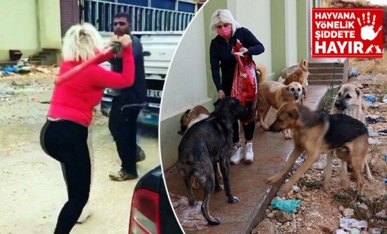 Köpeklerin mamalarını çalan kişiyi beyzbol sopasıyla döven kadın konuştu