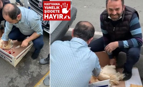 İstanbul’da sokak ortasında hayvanı eziyet edip bıçakla kesenlere ceza