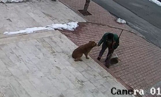 Temizlik işçisi ile sokak köpeğinin dostluğu izlenme rekoru kırdı