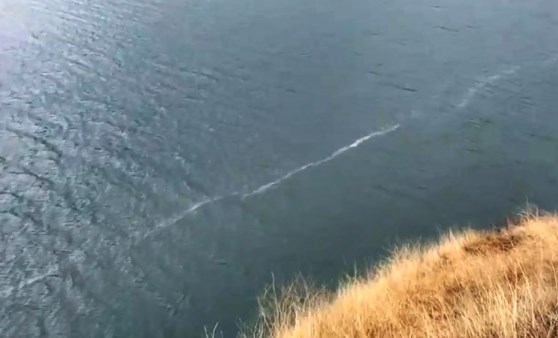 Elazığ'da depremin yüzey kırığının izi, gölde görüldü