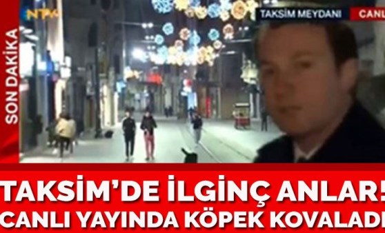 Canlı yayında 3 kişiyi köpek kovaladı