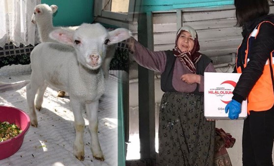 Gülümseten yanlış anlama! Görevliler gördükleri karşısında şoke oldu