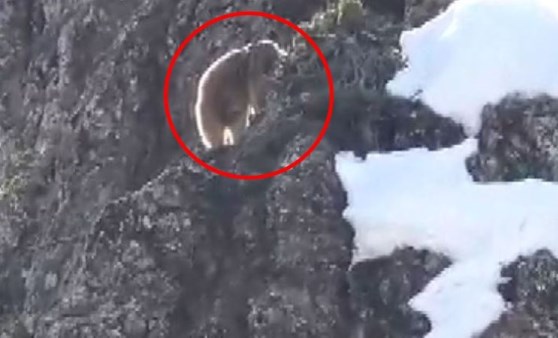 Tunceli'de böyle görüntüledi! Uyarılarda bulundu