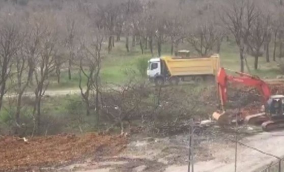 İstanbul'da Sahra Hastanesi için ağaç katliamı böyle görüntülendi