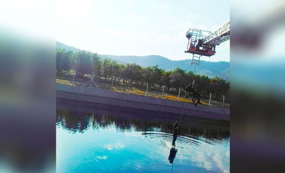 Kanala uçtuğu otomobilinin üzerinde kurtarılmayı bekledi