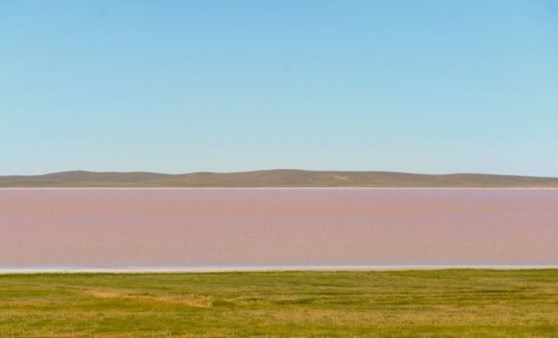 Görenler gözlerine inanamadı... Pembe renge büründü