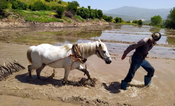 300 yıllık yöntemle tarım yapıyorlar