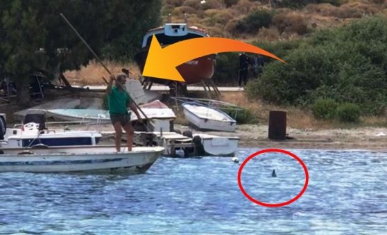 Sahil Güvenlik Bodrum'daki görüntüler için harekete geçti