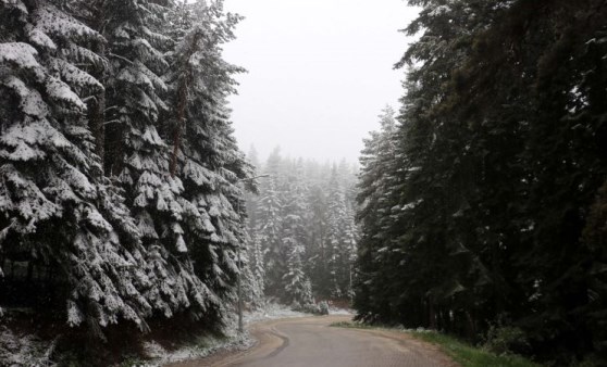 Ilgaz Dağı mayıs sonunda yağan karla beyaza büründü