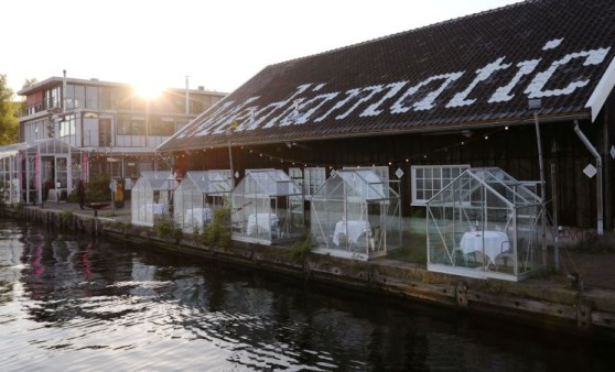 Amsterdam'da başladı yeni trend olabilir