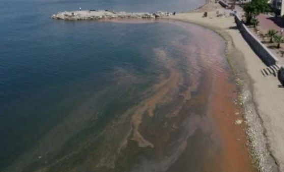 Korkutan görüntü! Marmara Denizi turuncuya boyandı