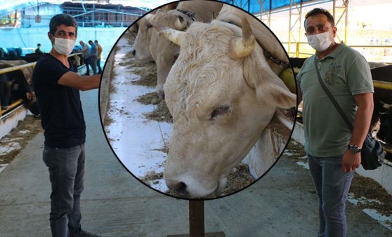 İstanbul’da kurban pazarında sosyal mesafeli pazarlık böyle görüntülendi