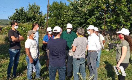 Yok olma riski altında: İncelemeler yapıldı