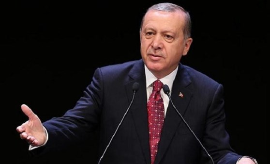 Erdoğan'ın aslanları görüntülendi