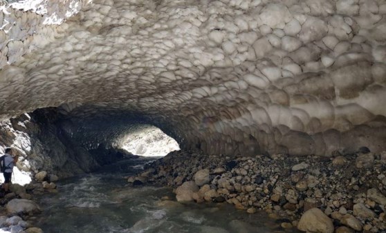 Dünyada çok nadir bulunuyor! Kayseri'de görüntülendi