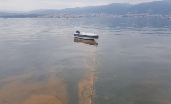 İzmit Körfezi'nde kirlilik