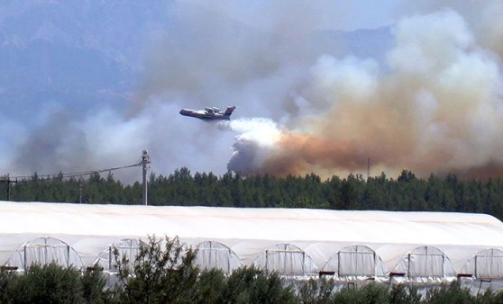 Antalya'da orman yangını