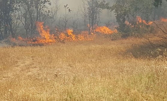 Çanakkale'da korku dolu anlar