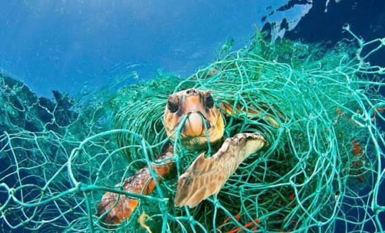 'Tek Kullanımlık Plastikler Yasaklansın' kampanyasına 500 bin kişiden destek