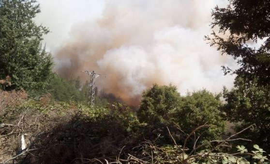 Çanakkale'de orman yangını (30.07.2020)