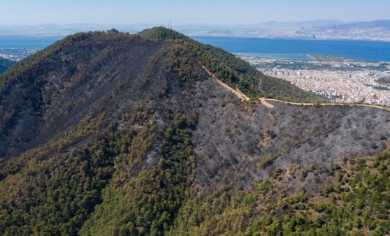 İzmir'de dün yanan orman alanı havadan görüntülendi