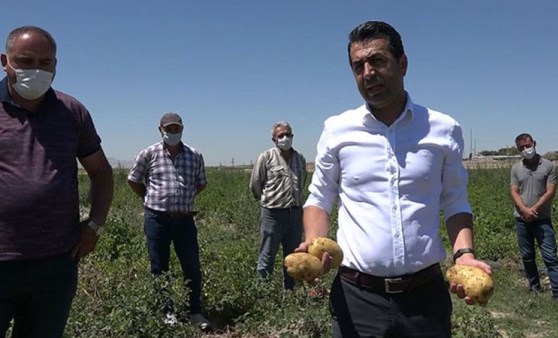 CHP Niğde il Başkanı Adem: Patates 50 kuruş, maliyeti 80 kuruş