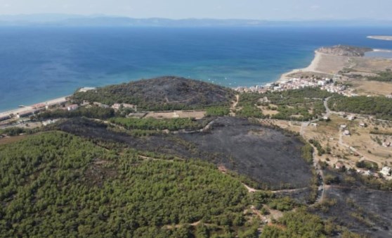 Başkan Ergin: Bir karışını bile rantçılara teslim etmeyiz