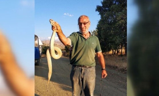 Kendisine saldıran ölümcül zehirli yılanı boğazından yakaladı