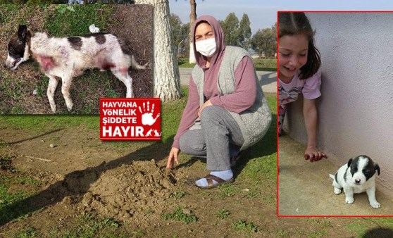 Gözü yaşlı kadın köpeğini kim vurup öldürdüyse bulunmasını istiyor