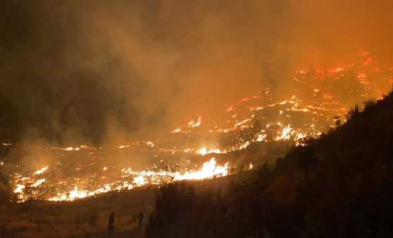 Muğla'da orman yangını çıktı!