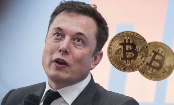 Musk tweet attı: İki altcoin yükselişe geçti