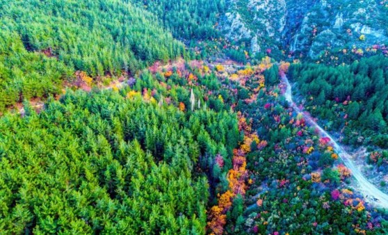 Spil Dağı'ndan sonbahar manzaraları