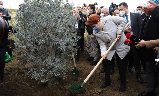 Akşener, Büyükçekmece'de Covid-19 şehidi sağlık çalışanları için fidan dikti