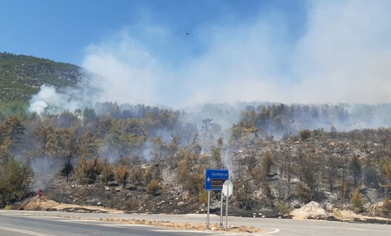 Orman yangını çıktı yollar ulaşıma kapatıldı