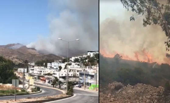 Bodrum'da yangın çıktı! Ekipler harekete geçti