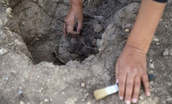 Arkeolojik kazılarda ortaya çıkarıldı