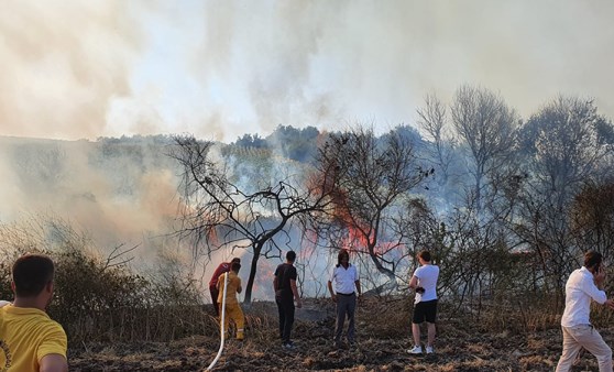 Elektrik teline çarpan atmaca, yangına neden oldu