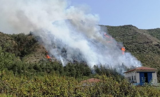 Karabük’te aynı köyde 2 gün sonra yeniden orman yangını